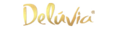 deluviausa.com Logo