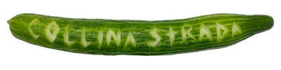 collinastrada.com Logo